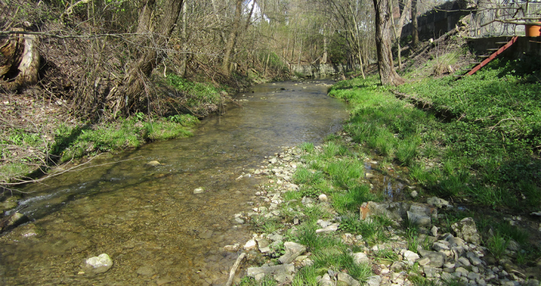 Flusslauf der Steinach