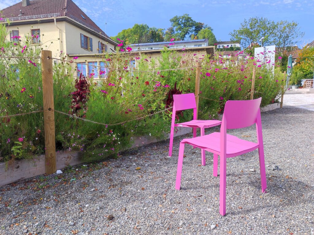 Zwei pinke Stühle vor einer Blumenwiese auf Schotterboden