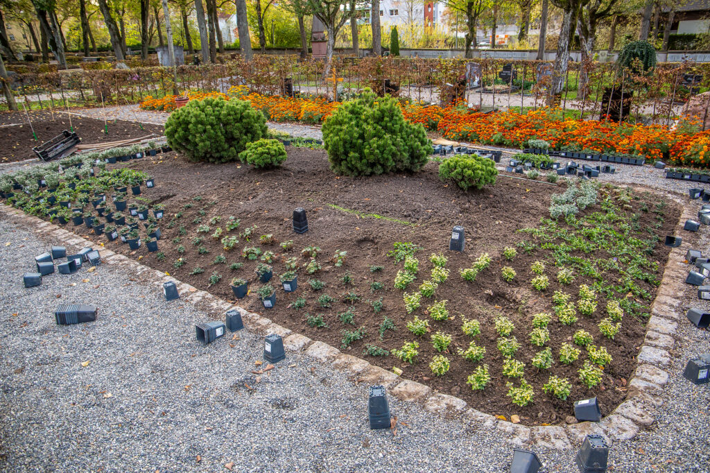 Frisch bepflanzter Bereich auf dem Friedhof Balingen