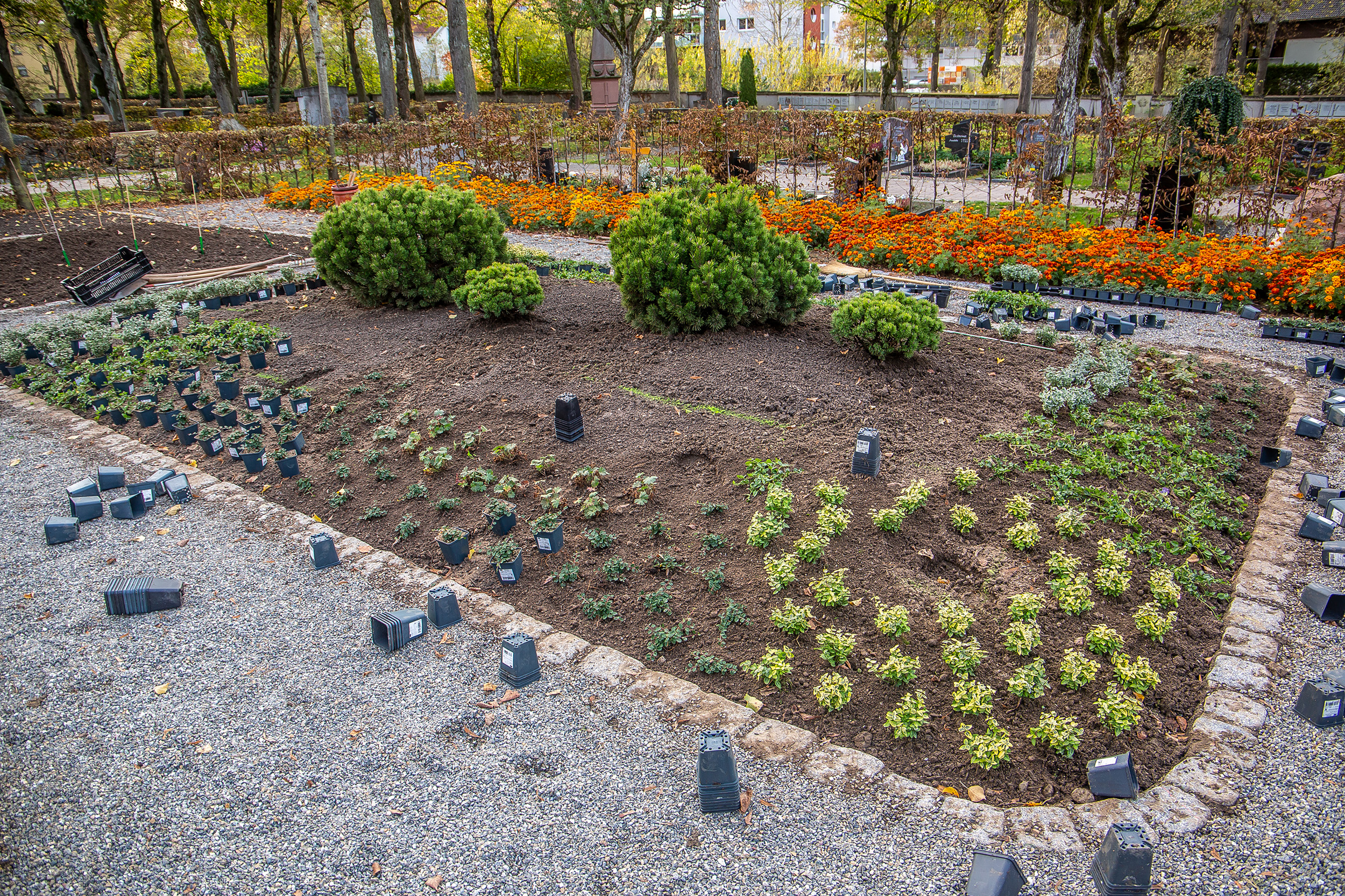 Frisch bepflanzter Bereich auf dem Friedhof Balingen