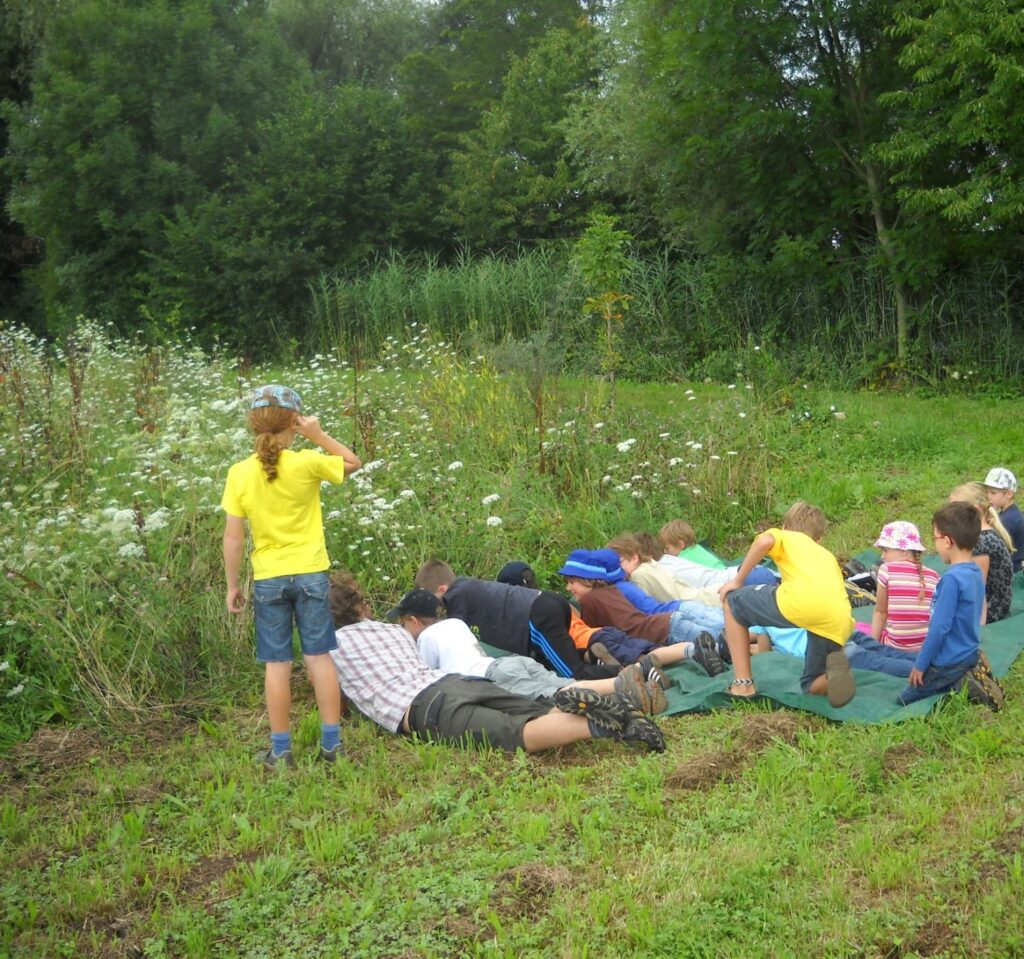 Zu sehen ist eine Gruppe von Kindern, die neben einer Wiese am Waldrand im Gras liegen