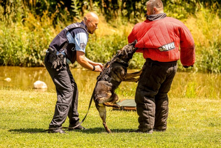 Ein uniformierter Polizist hält einen Hund aus der Hundestaffel fest, der sich in den Schutzanzug eines Mannes verbissen hat